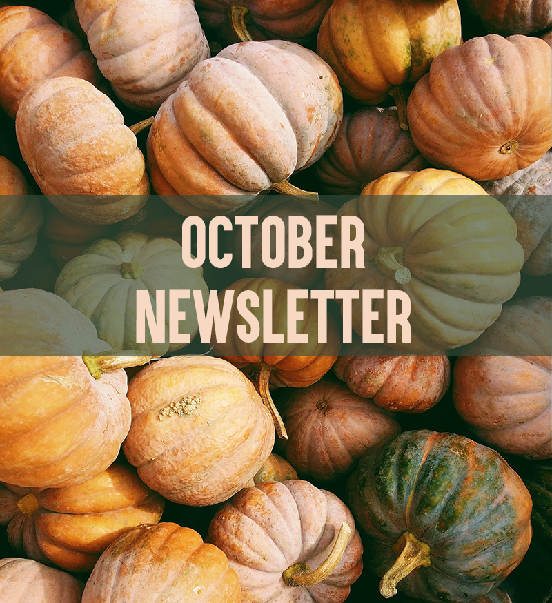 October real estate newsletter duluth, mn